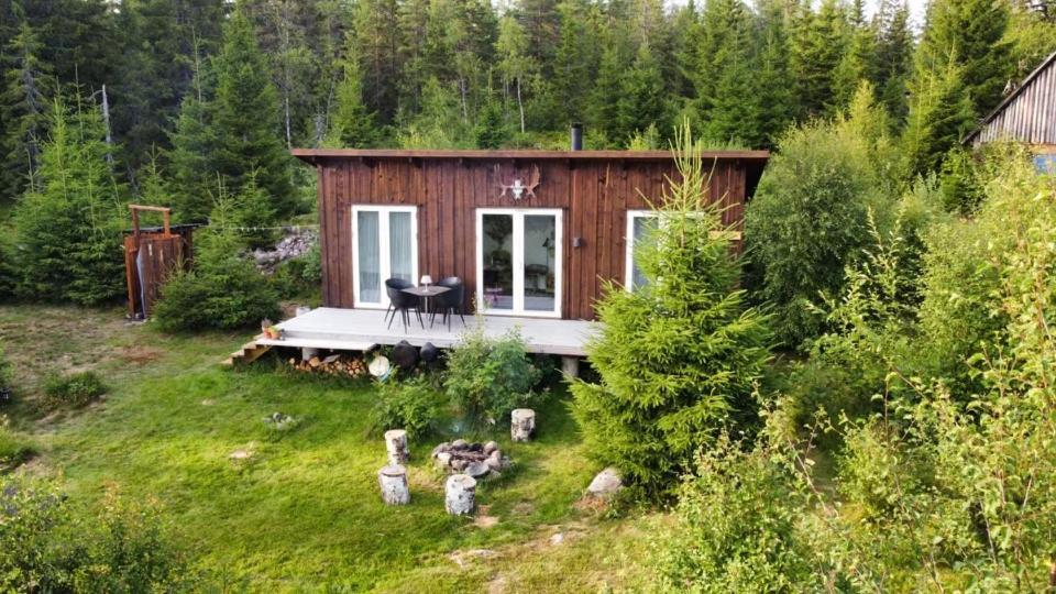 Cozy Forest Cabin With Amazing Mountain View Torsby Eksteriør billede