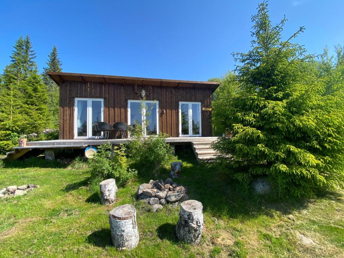 Cozy Forest Cabin With Amazing Mountain View Torsby Eksteriør billede