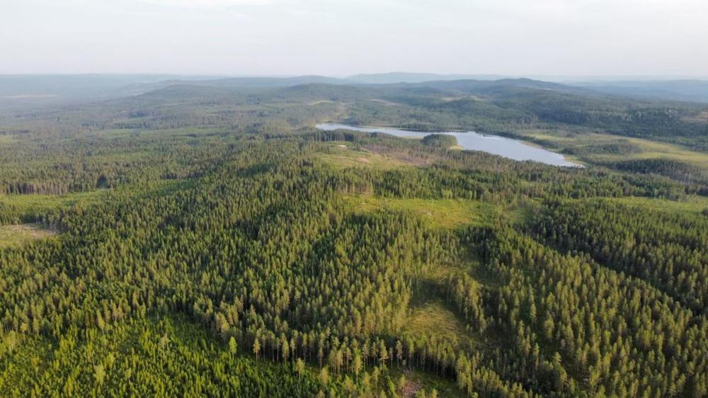 Cozy Forest Cabin With Amazing Mountain View Torsby Eksteriør billede