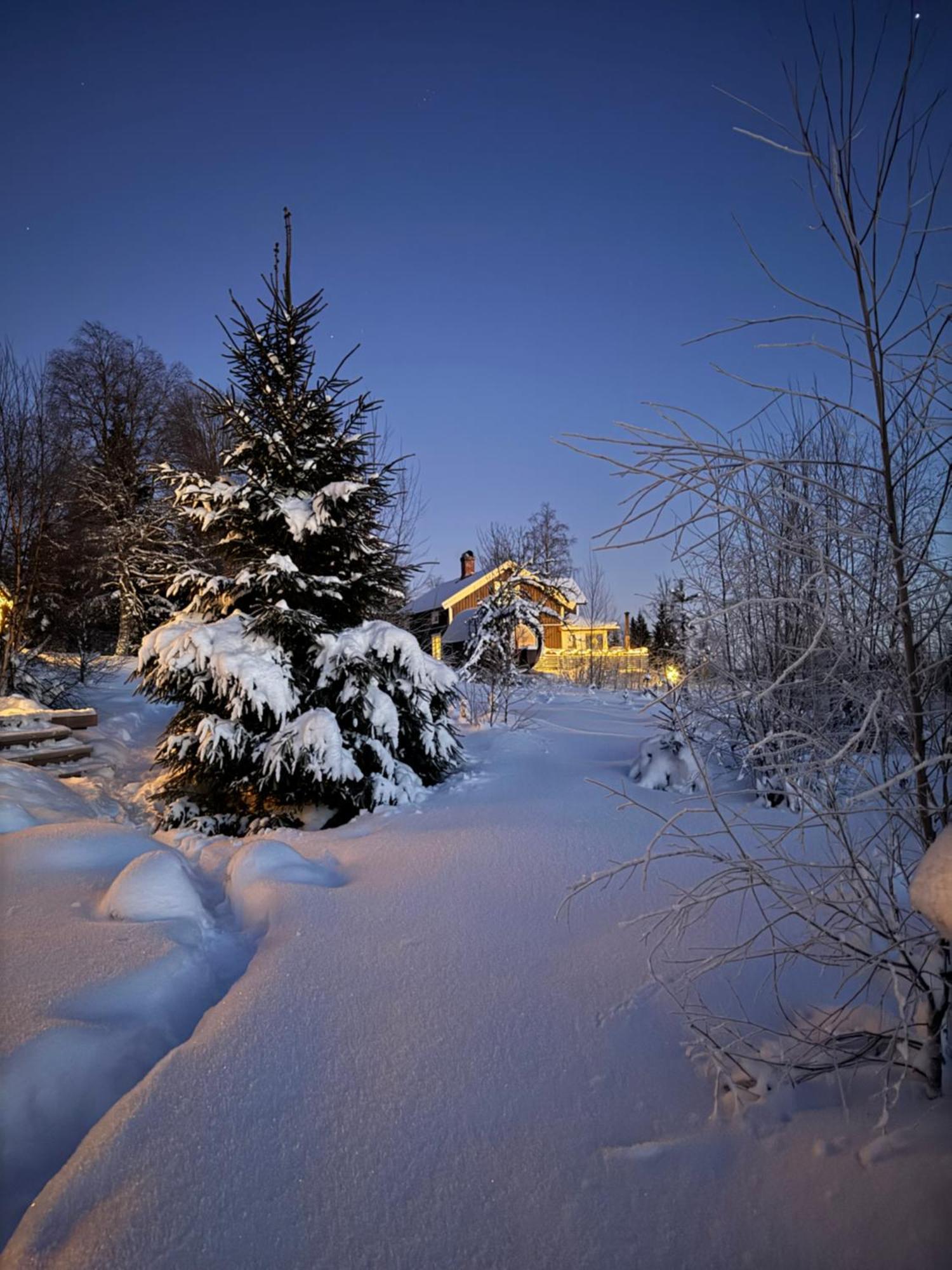 Cozy Forest Cabin With Amazing Mountain View Torsby Eksteriør billede
