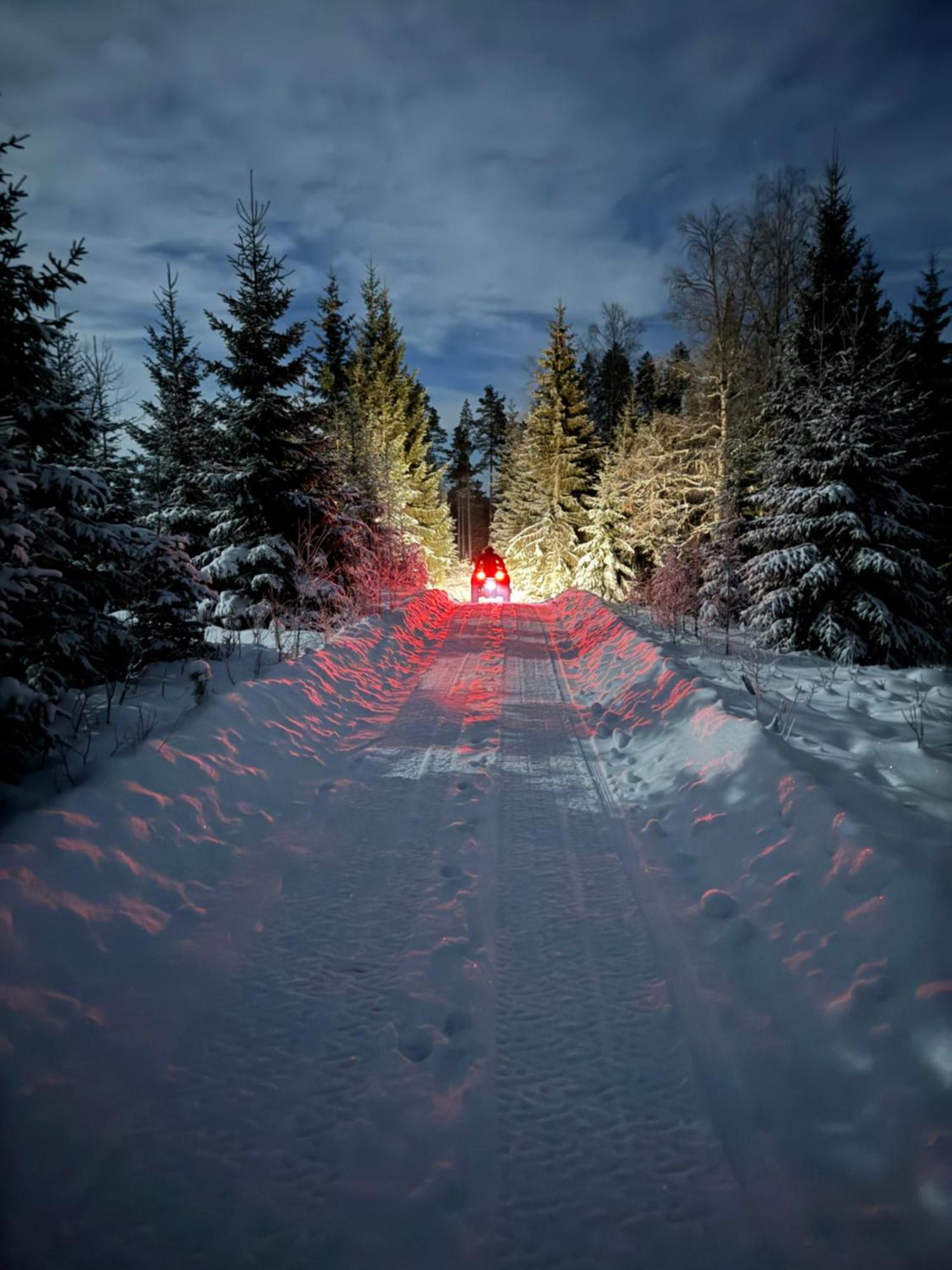 Cozy Forest Cabin With Amazing Mountain View Torsby Eksteriør billede