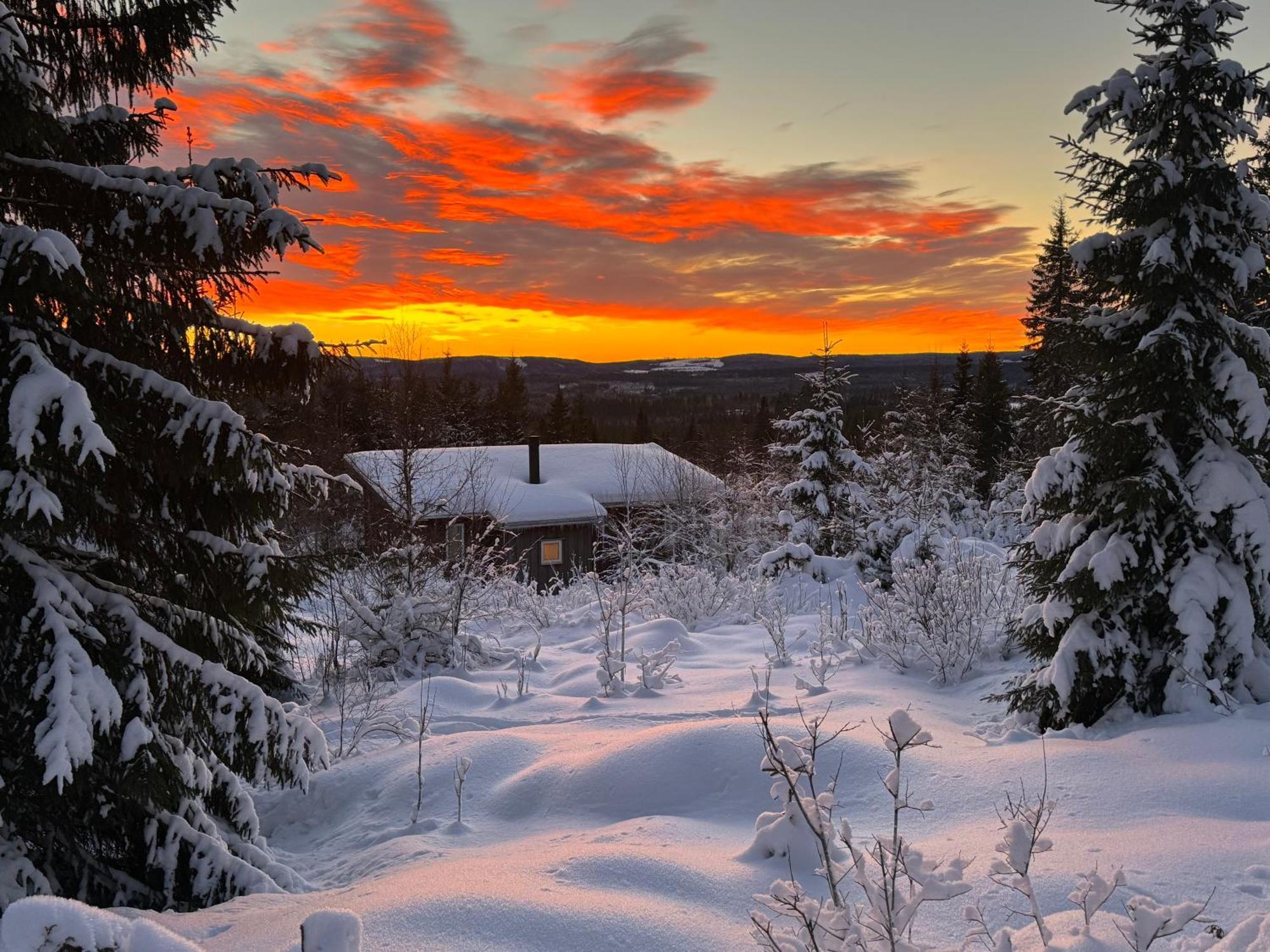 Cozy Forest Cabin With Amazing Mountain View Torsby Eksteriør billede