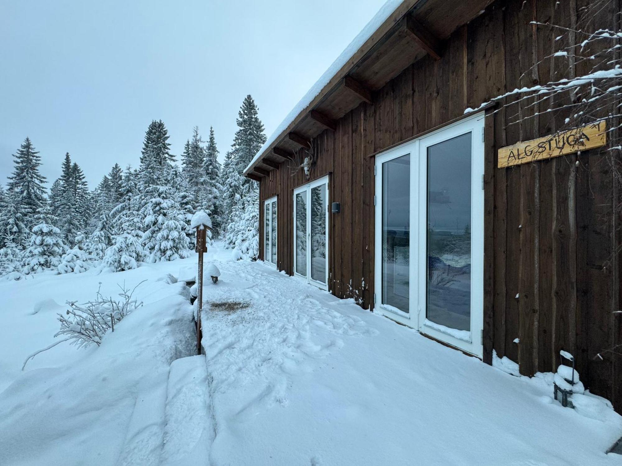 Cozy Forest Cabin With Amazing Mountain View Torsby Eksteriør billede