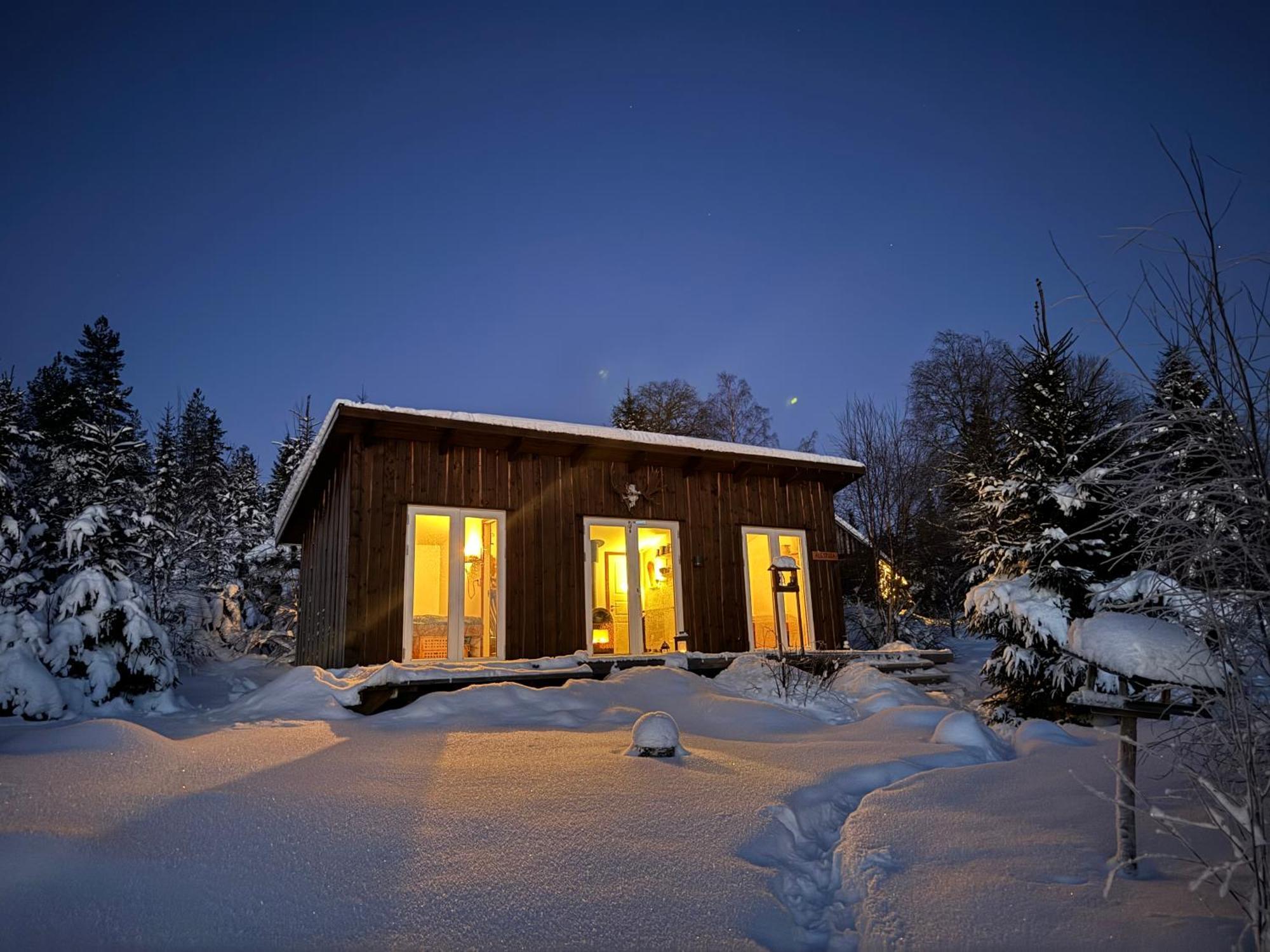 Cozy Forest Cabin With Amazing Mountain View Torsby Eksteriør billede