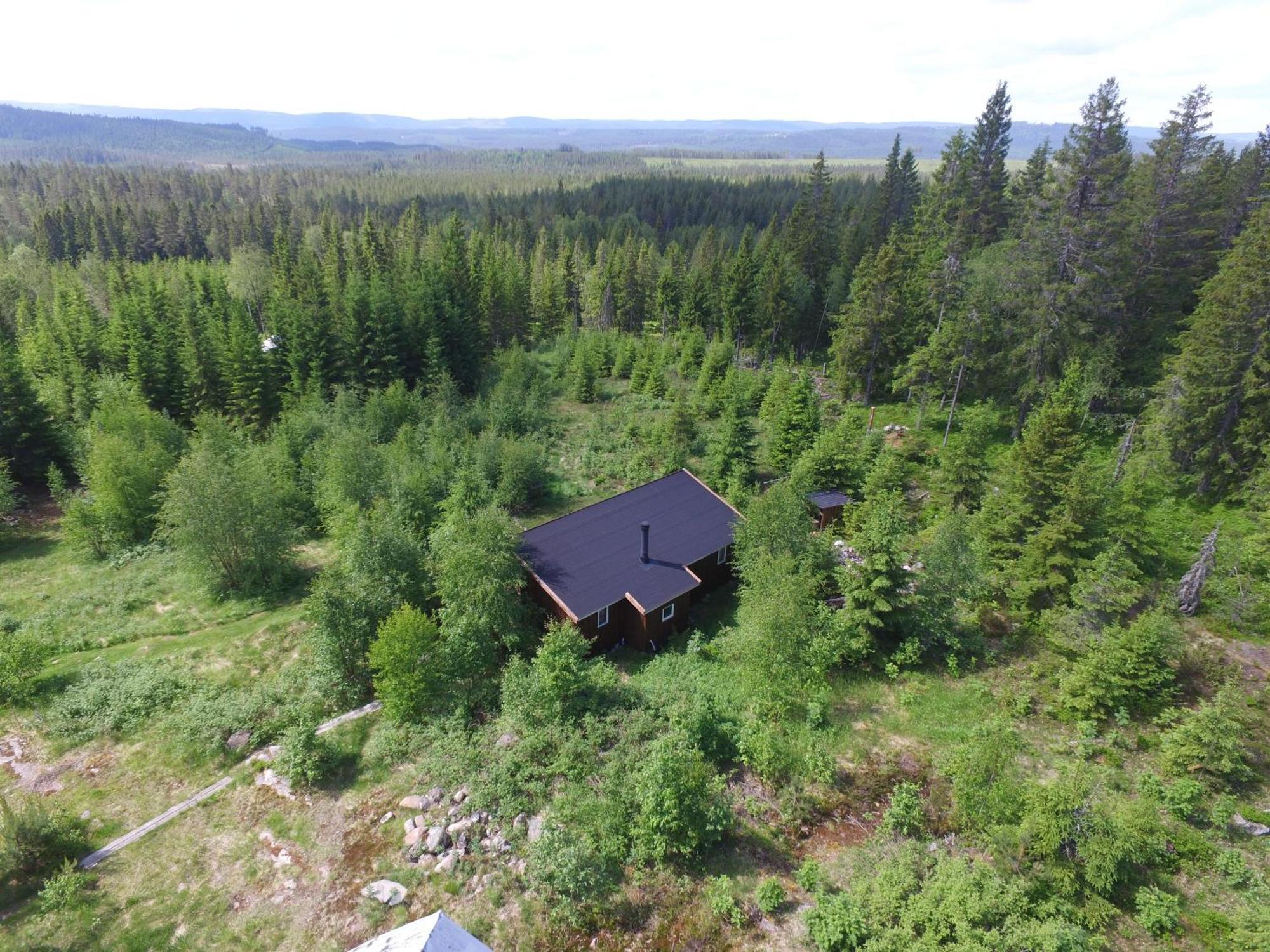 Cozy Forest Cabin With Amazing Mountain View Torsby Eksteriør billede