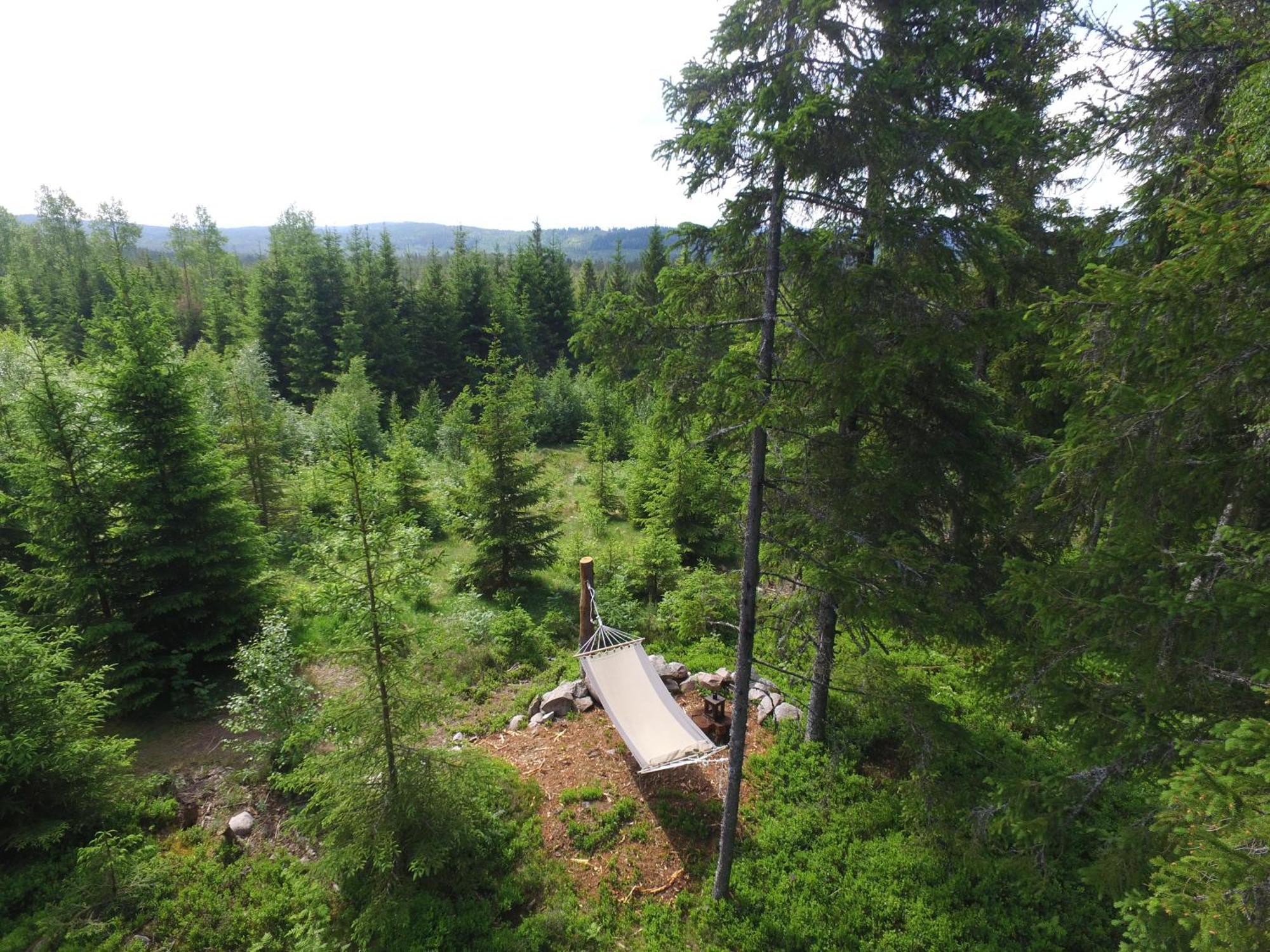 Cozy Forest Cabin With Amazing Mountain View Torsby Eksteriør billede